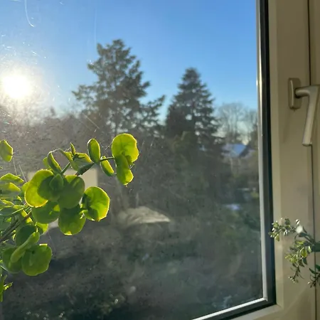 Apartment Ideale In Duesseldorf-nord Dusseldorf