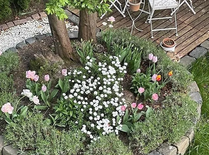 Ideale In Duesseldorf-nord *