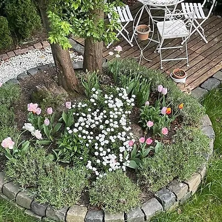 Ideale In Duesseldorf-nord *