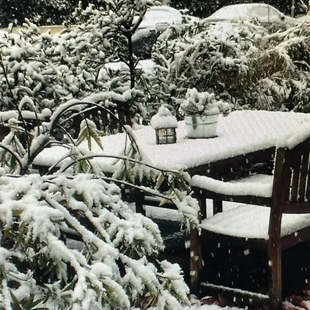 Ideale In Duesseldorf-nord Appartamento Düsseldorf